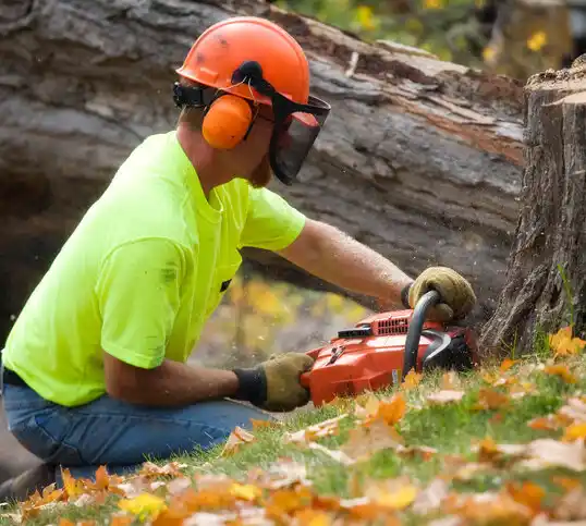 tree services Walnut